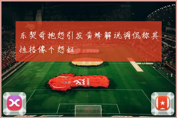 东契奇抱怨引发黄蜂解说调侃称其性格像个怨妇