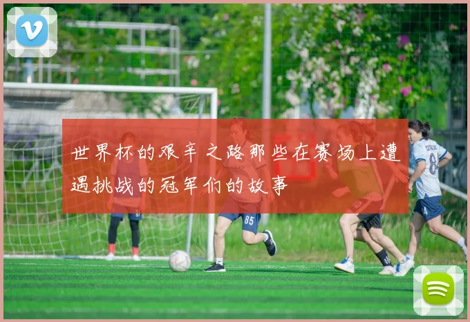 世界杯的艰辛之路那些在赛场上遭遇挑战的冠军们的故事