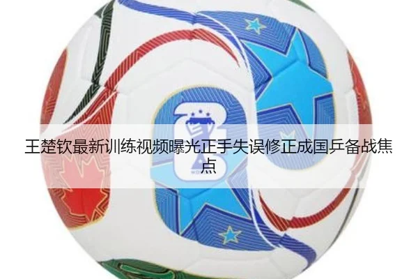 王楚钦最新训练视频曝光正手失误修正成国乒备战焦点